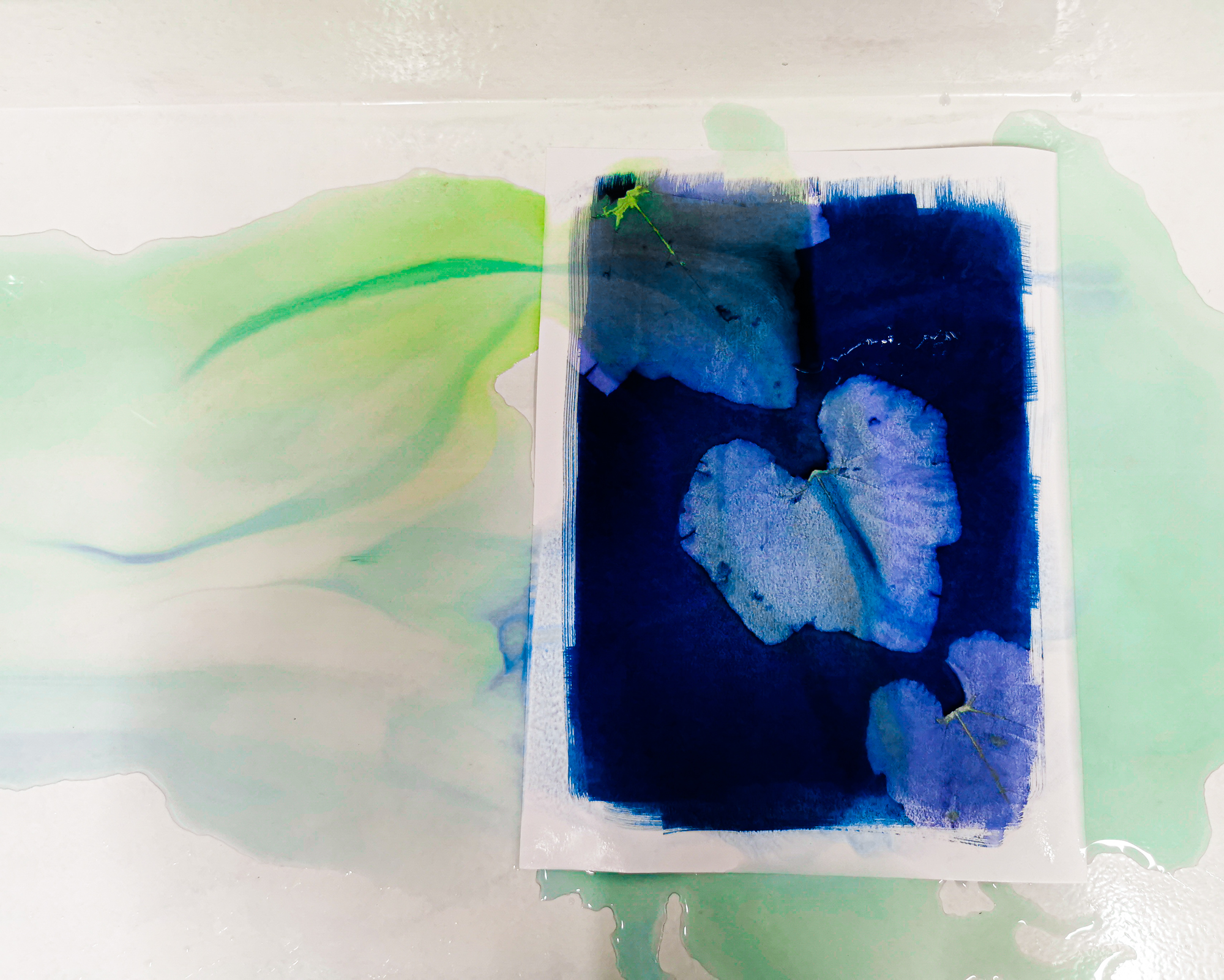 How to make Cyanotypes on Paper?